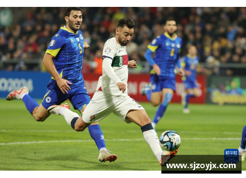 葡萄牙击败波黑，晋级欧洲杯预选赛。