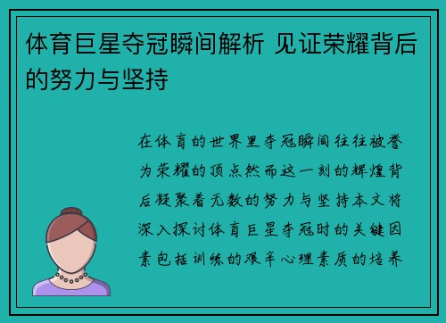 体育巨星夺冠瞬间解析 见证荣耀背后的努力与坚持